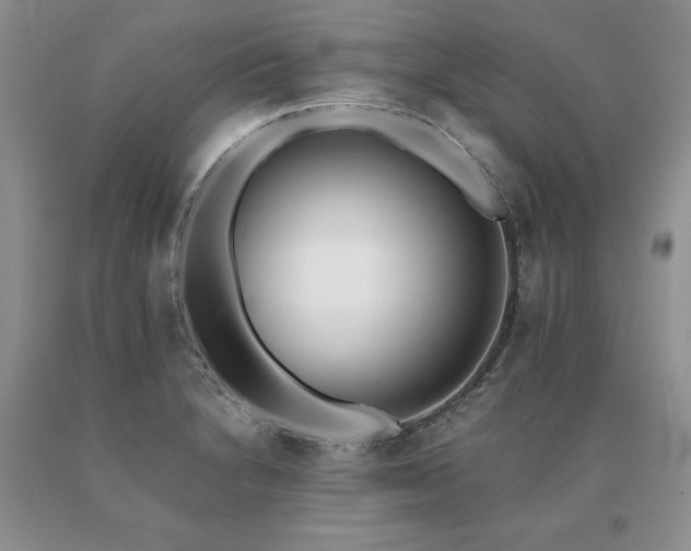 X0000091071230200708061255