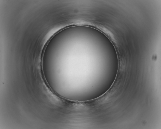 X0000091071231200708061255