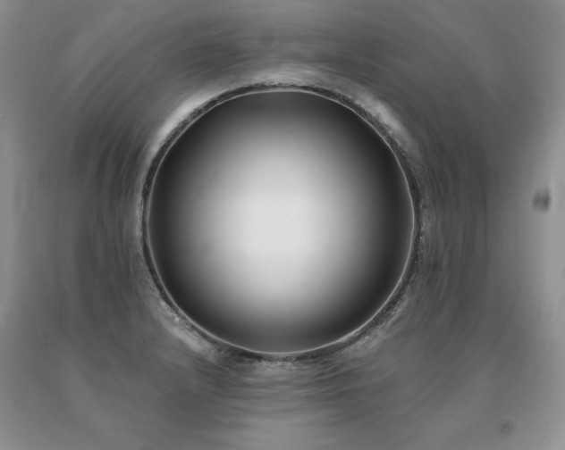 X0000091071232200708061255