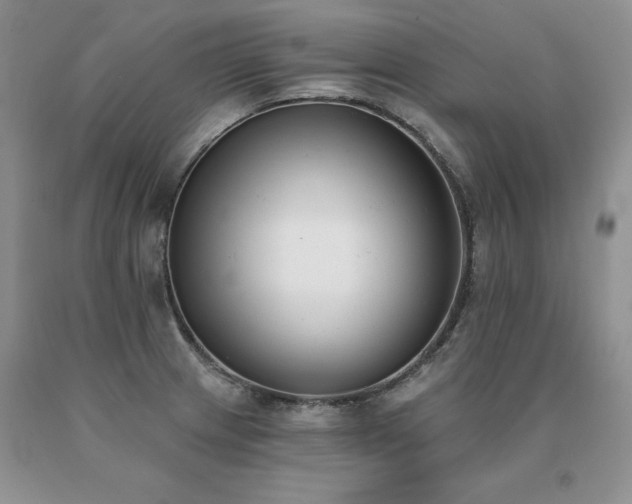 X0000091071233200708061255