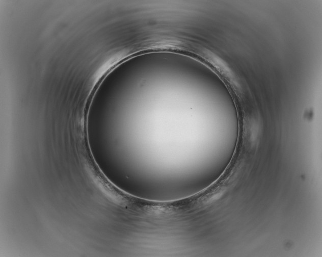X0000091071234200708061255