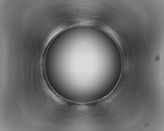 X0000091071235200708061255