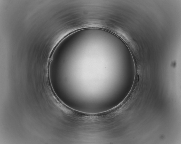 X0000091071236200708061255