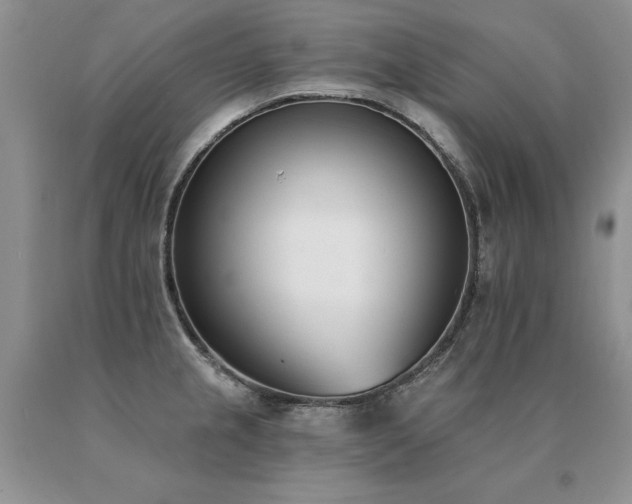 X0000091071237200708061255