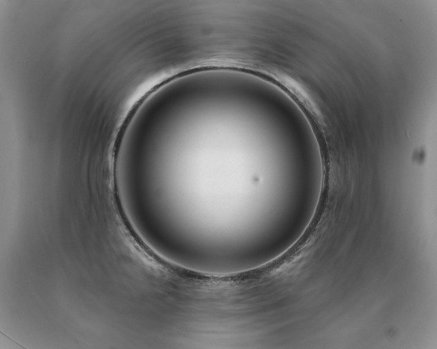 X0000091071238200708061255