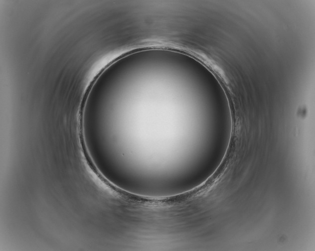 X0000091071239200708061255