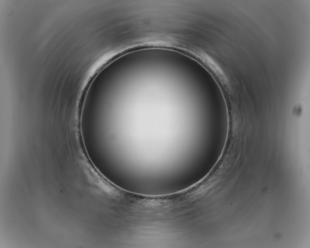 X0000091071240200708061255
