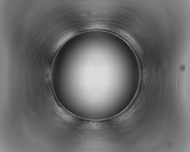 X0000091071241200708061255