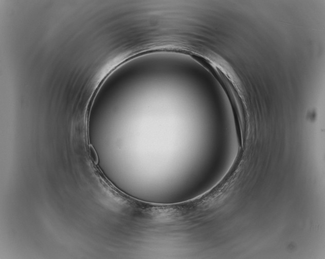 X0000091071242200708061255