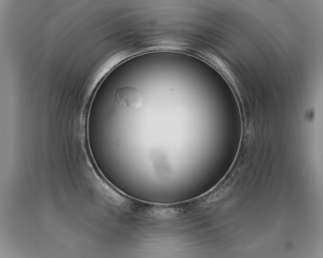 X0000091071243200708061255