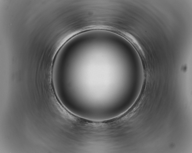 X0000091071244200708061255