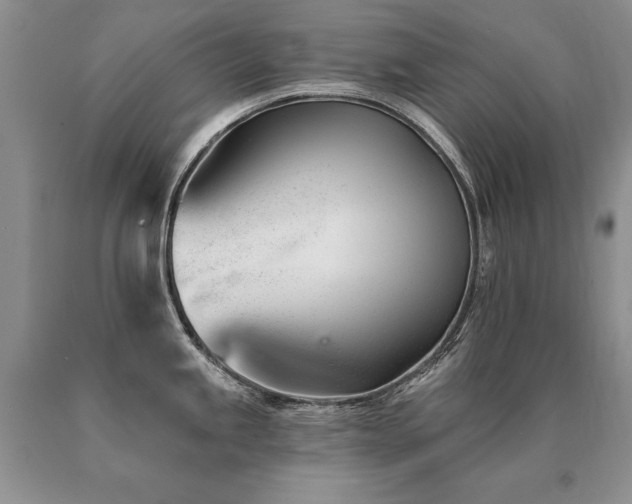 X0000091071245200708061256