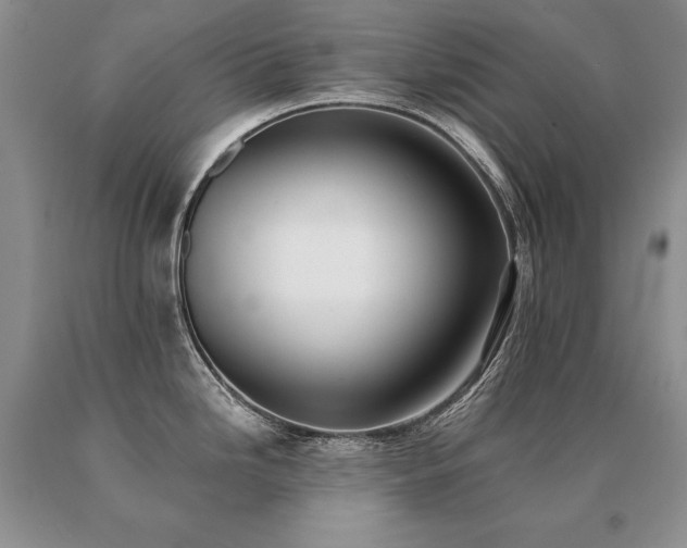 X0000091071246200708061256