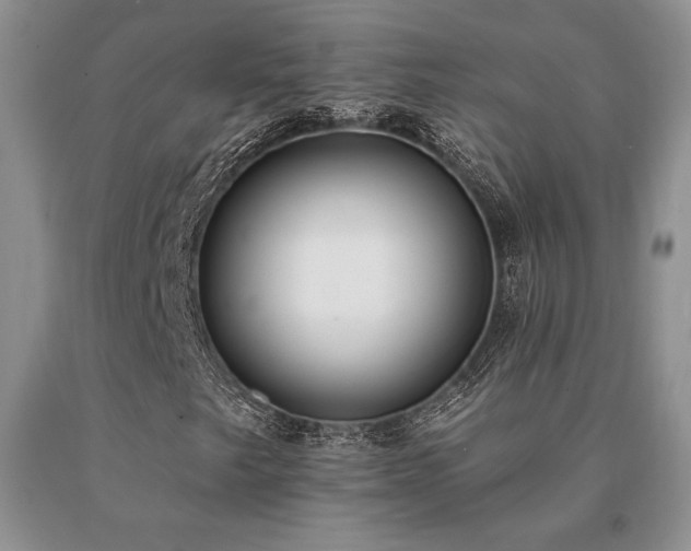 X0000091071249200708061255
