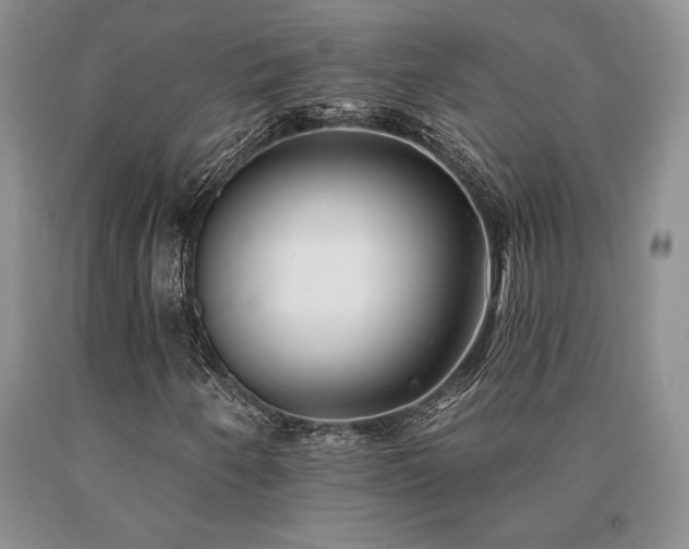 X0000091071250200708061255