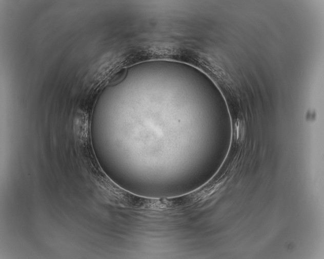 X0000091071251200708061255