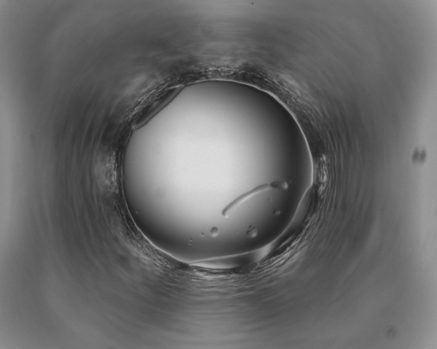 X0000091071252200708061255
