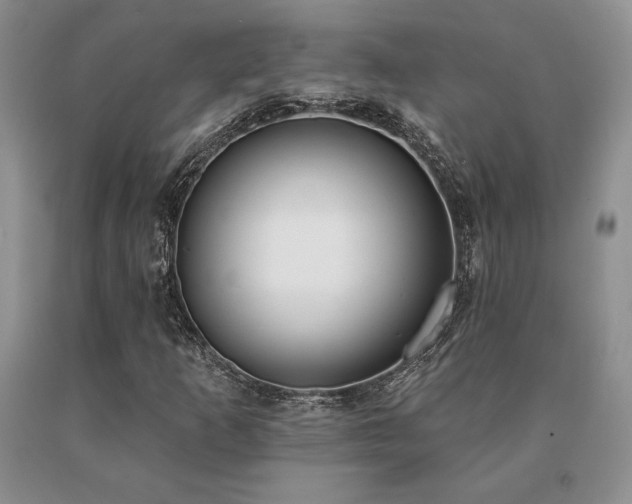 X0000091071253200708061255