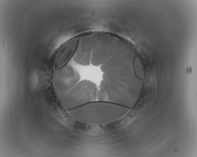 X0000091071255200708061255
