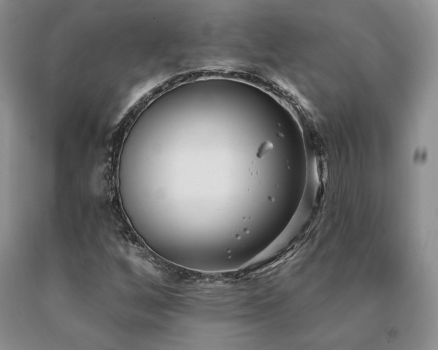 X0000091071256200708061255