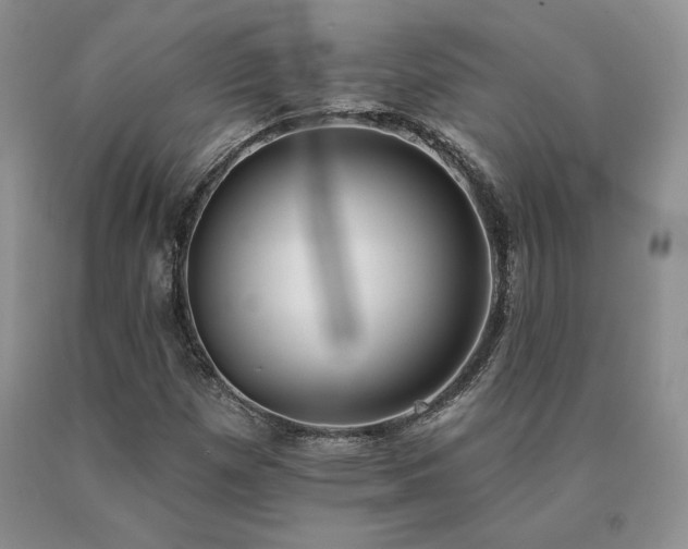 X0000091071257200708061255