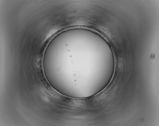 X0000091071258200708061255