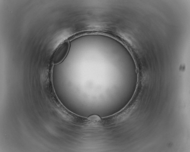 X0000091071259200708061255