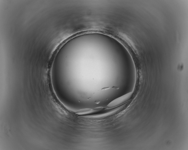 X0000091071260200708061255