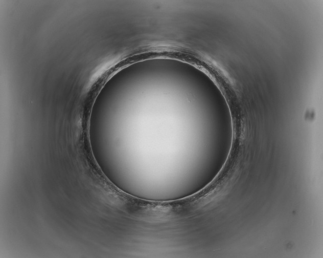 X0000091071261200708061255