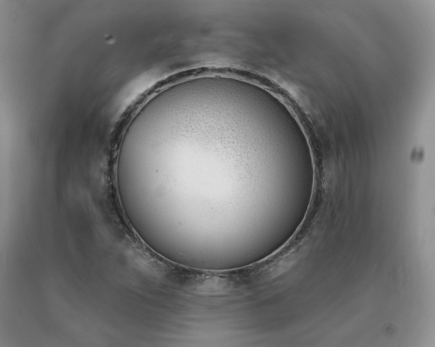X0000091071263200708061255