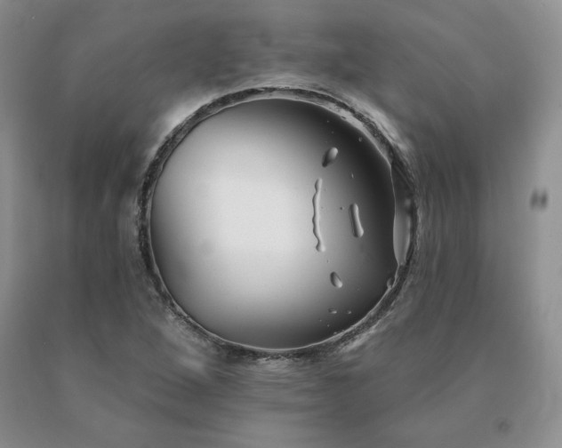 X0000091071264200708061255
