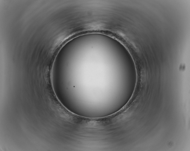 X0000091071265200708061255