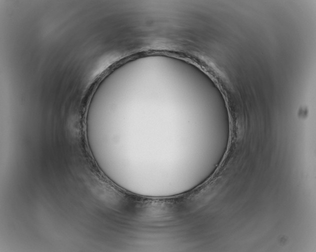 X0000091071266200708061255
