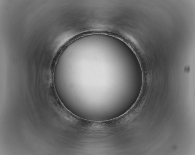 X0000091071267200708061255