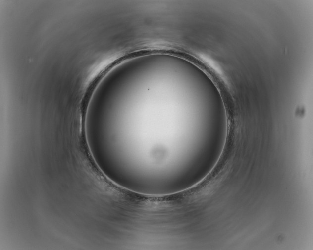 X0000091071269200708061255