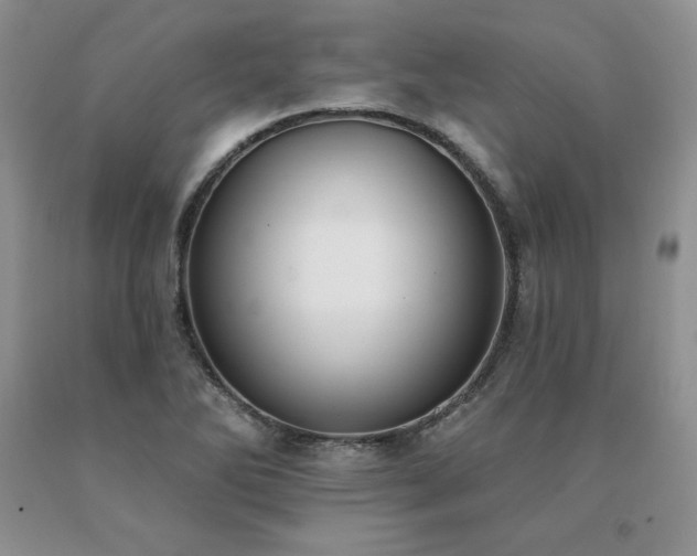 X0000091071270200708061255