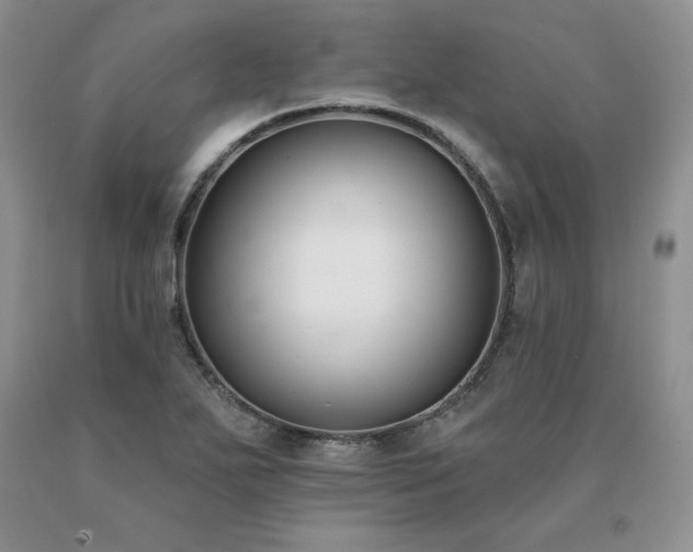 X0000091071271200708061255