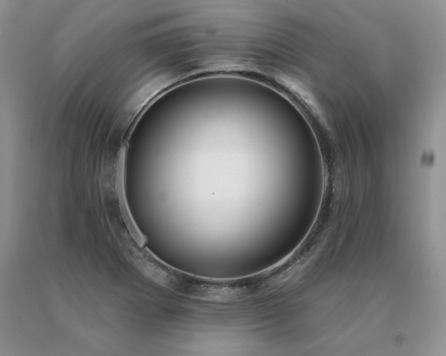 X0000091071273200708061255