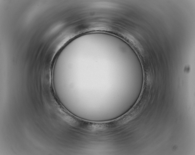 X0000091071274200708061255