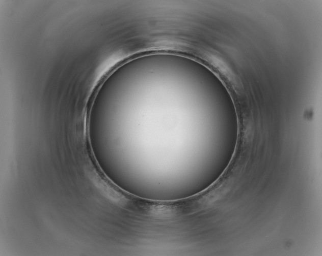 X0000091071275200708061255