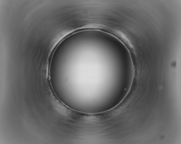 X0000091071276200708061255