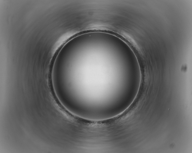 X0000091071277200708061255