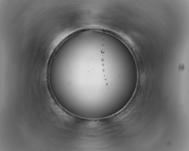 X0000091071279200708061255