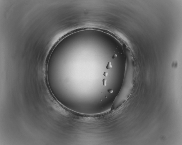X0000091071280200708061255