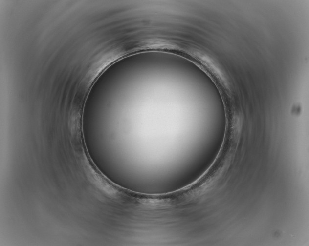 X0000091071281200708061255