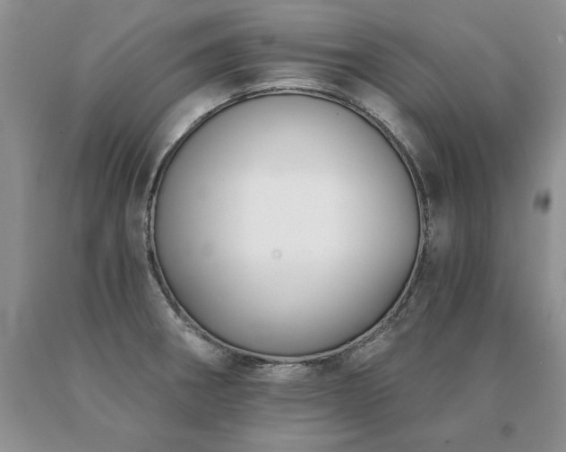 X0000091071282200708061255