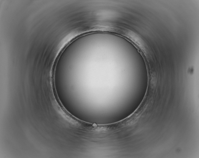 X0000091071283200708061255
