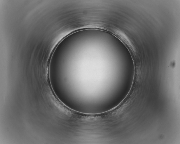 X0000091071284200708061255