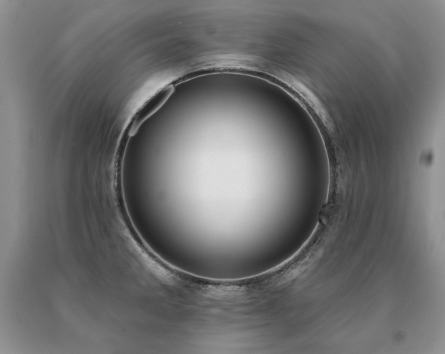 X0000091071285200708061254
