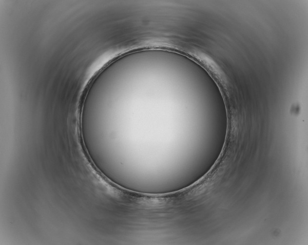 X0000091071286200708061254
